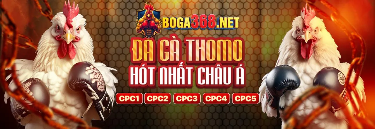 Sân đấu đá gà trực tuyến fbbet